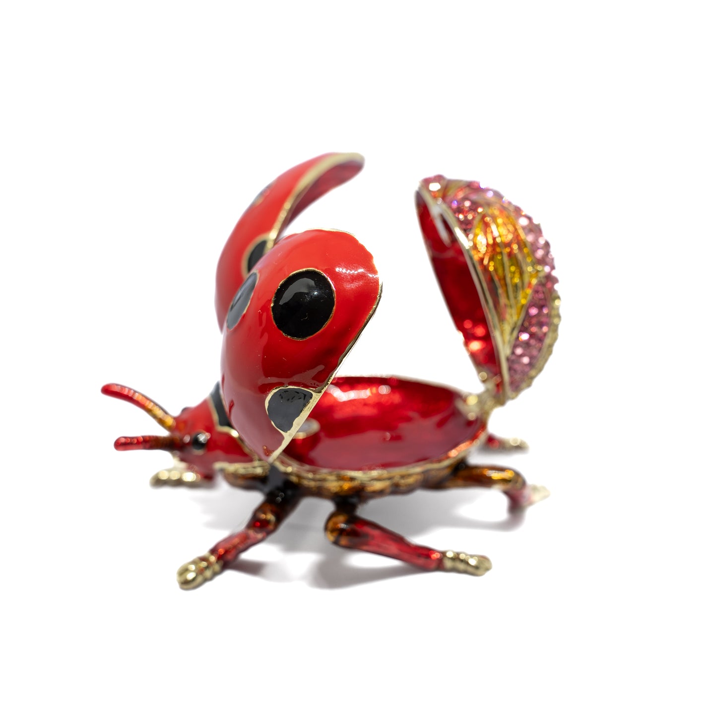 Alhajero Ladybug