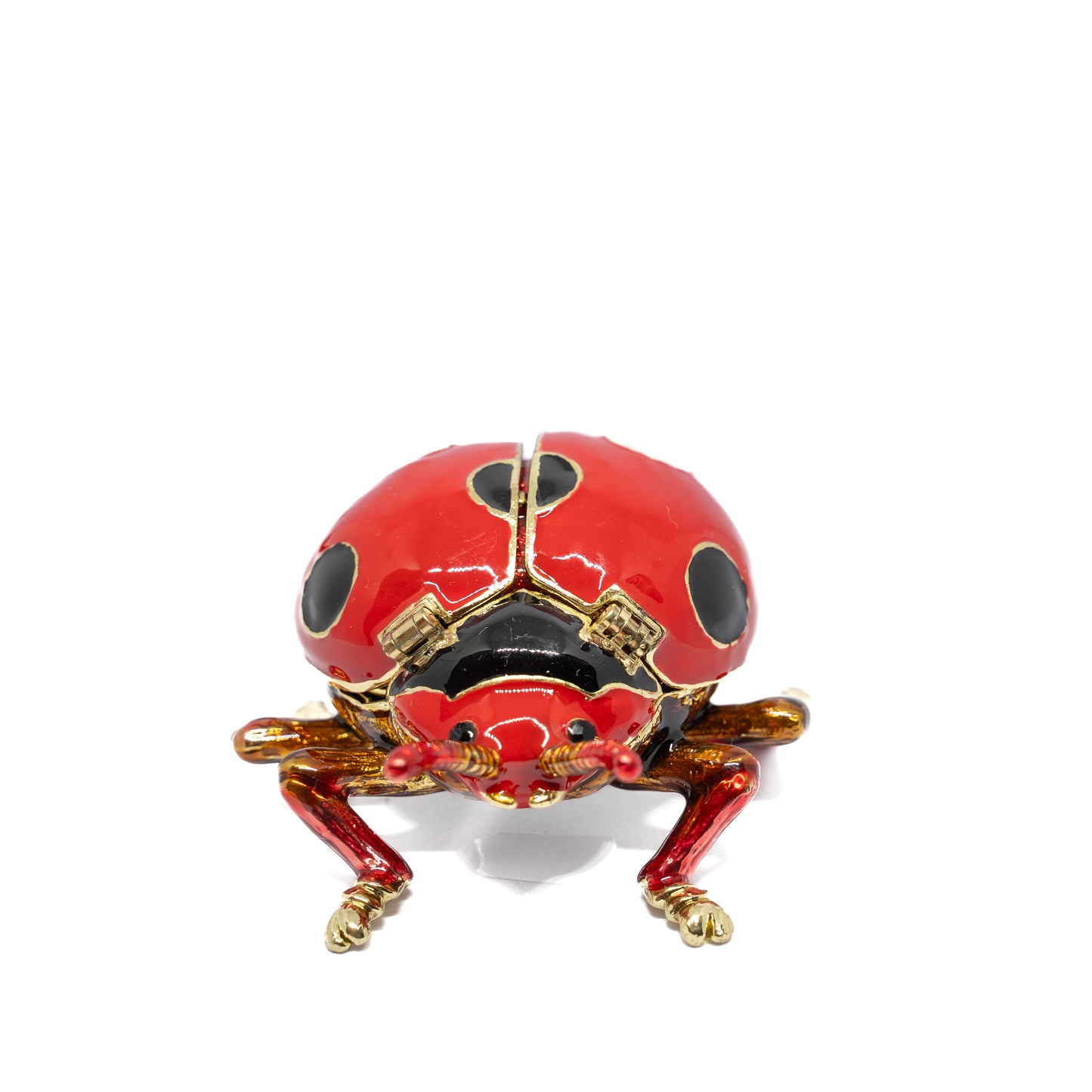 Alhajero Ladybug