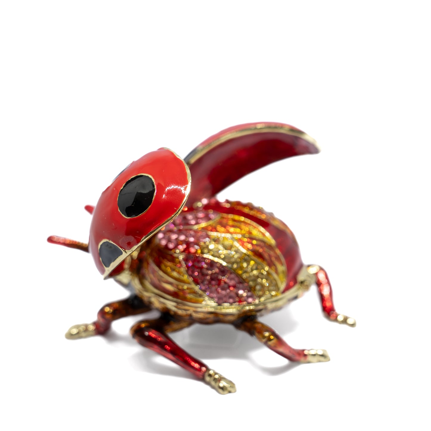 Alhajero Ladybug